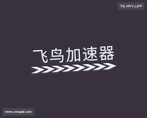 了解飞鸟加速器